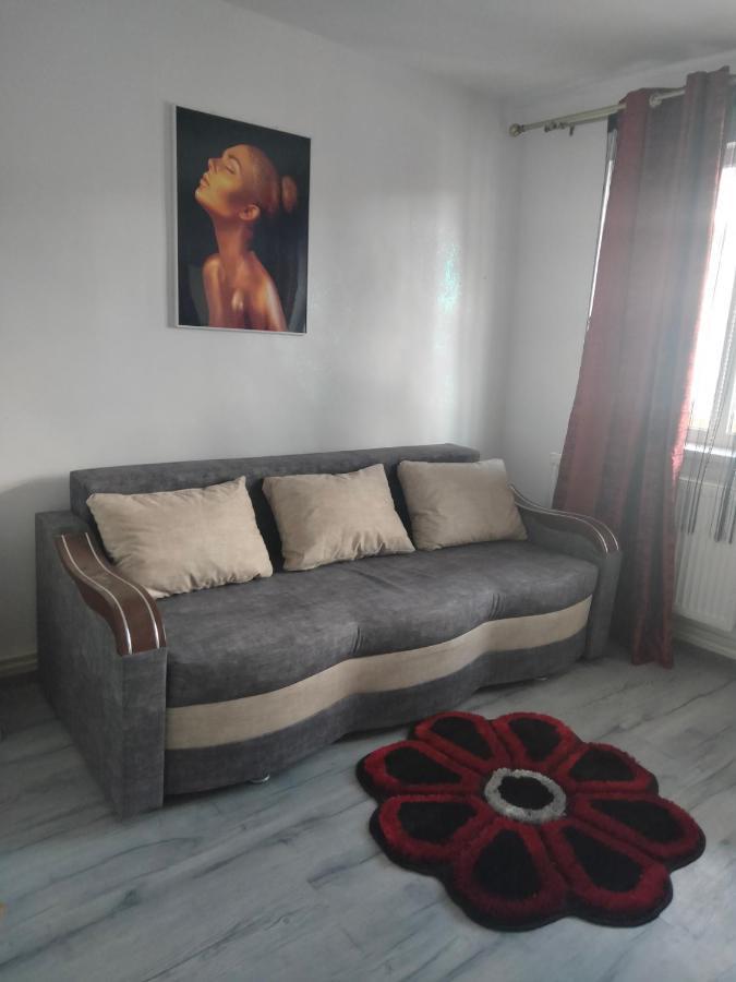 Apartament Geo Nehoiu Dış mekan fotoğraf