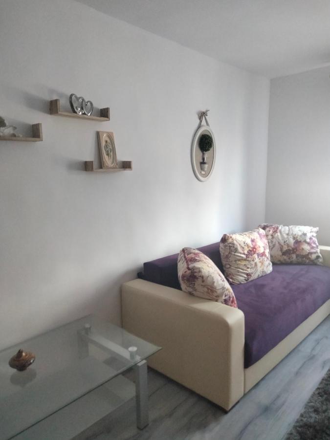 Apartament Geo Nehoiu Dış mekan fotoğraf