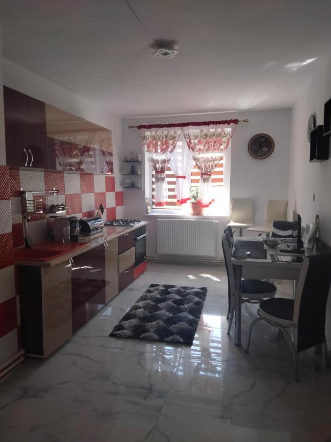 Apartament Geo Nehoiu Dış mekan fotoğraf