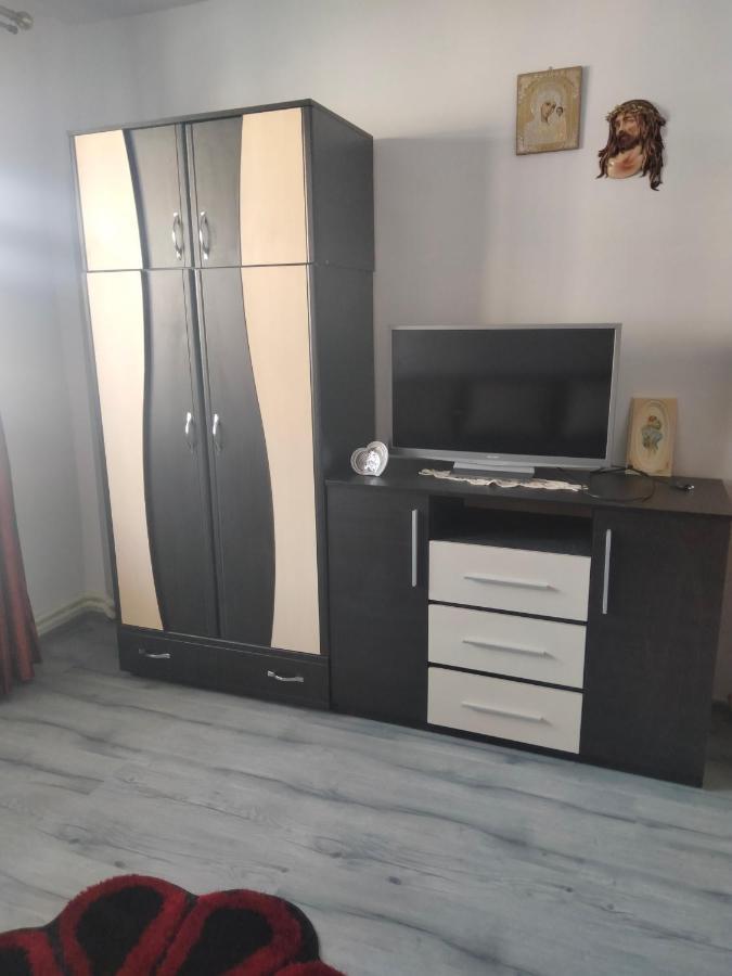 Apartament Geo Nehoiu Dış mekan fotoğraf