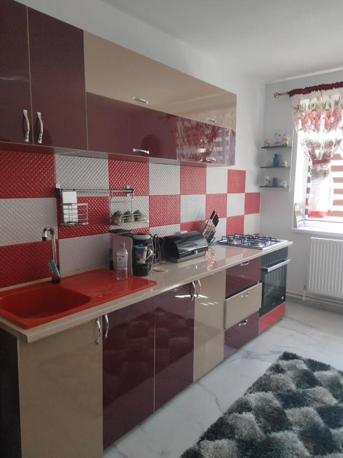 Apartament Geo Nehoiu Dış mekan fotoğraf