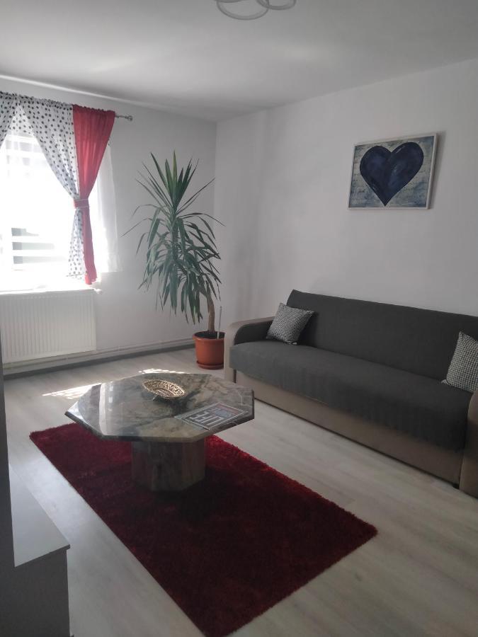 Apartament Geo Nehoiu Dış mekan fotoğraf