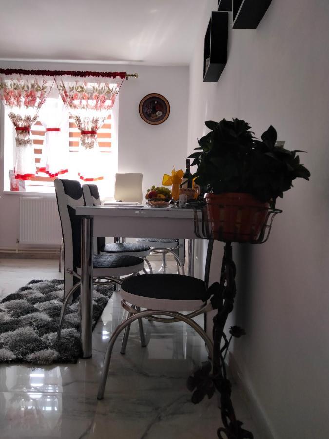 Apartament Geo Nehoiu Dış mekan fotoğraf