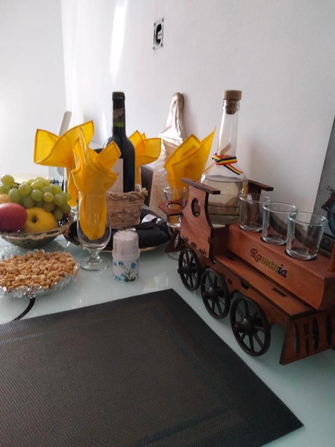 Apartament Geo Nehoiu Dış mekan fotoğraf