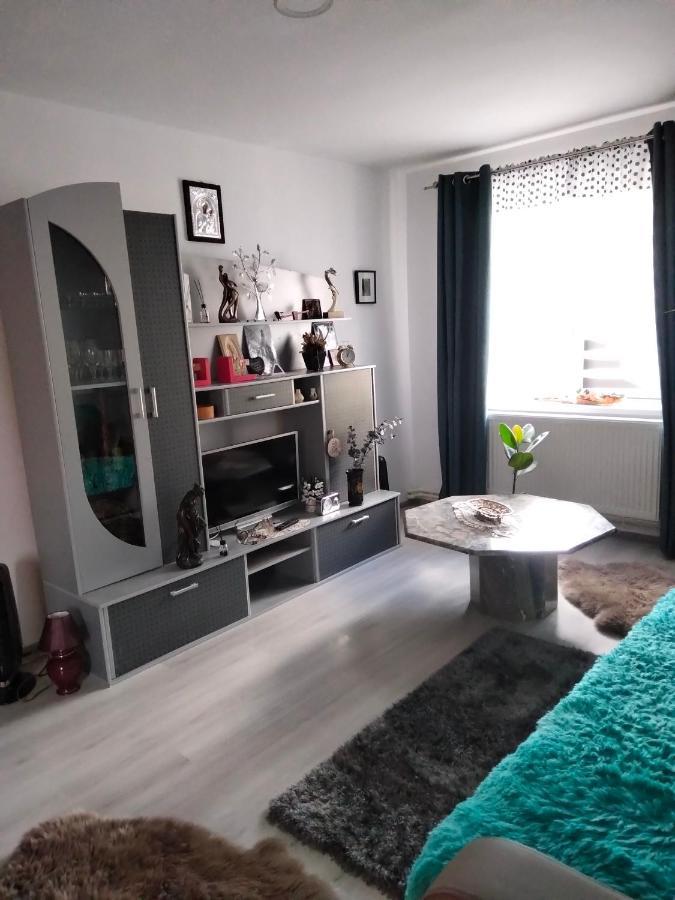 Apartament Geo Nehoiu Dış mekan fotoğraf