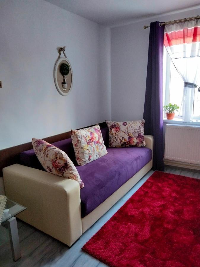 Apartament Geo Nehoiu Dış mekan fotoğraf